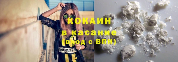мдпв Ладушкин