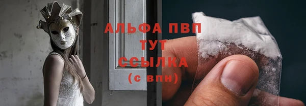 мдпв Ладушкин