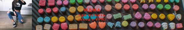 мдпв Ладушкин