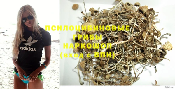 мдпв Ладушкин