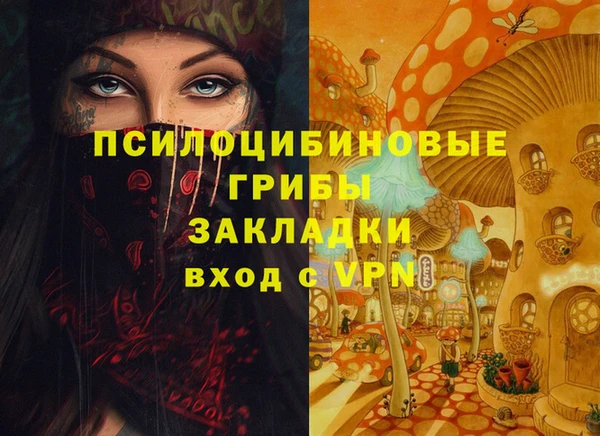 apvp Лабытнанги