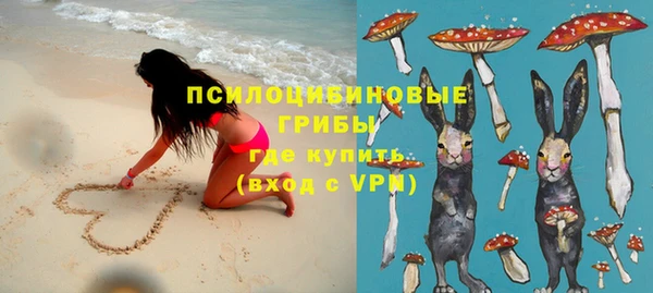 мдпв Ладушкин