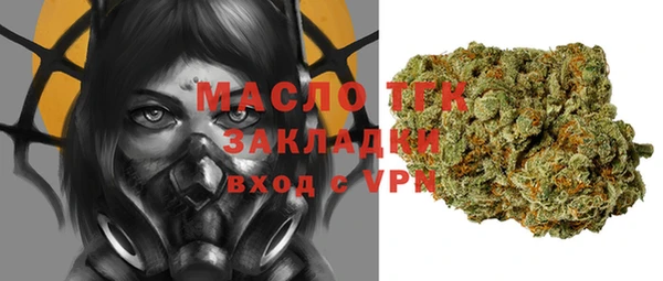 мдпв Ладушкин